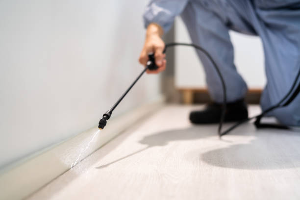 Pest Control Cost in New Oxford, PA